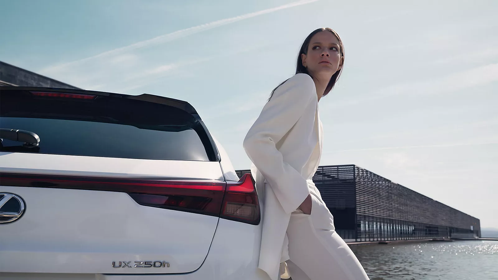 LEXUS COOKIE POLICY
